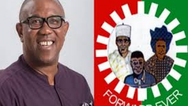 LP fielding Peter Obi against Tinubu in 2027 - Arabambi
